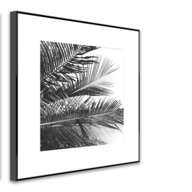 Middle_ab081_palms_50x50_s