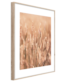 Middle_ab079_grasses_2_50x70_s