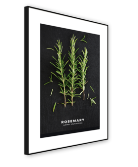 Middle_ab181_rosemary_50x70_s